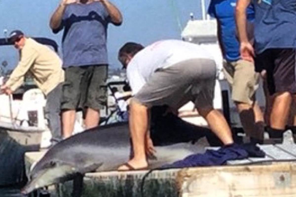 telegramster's tweet photo. Dolphin Leaps Into Family`s Boat, Breaks Mom`s Ankles 
http://t.co/ykn5rVMing
#news http://t.co/fBPRlk5Gju