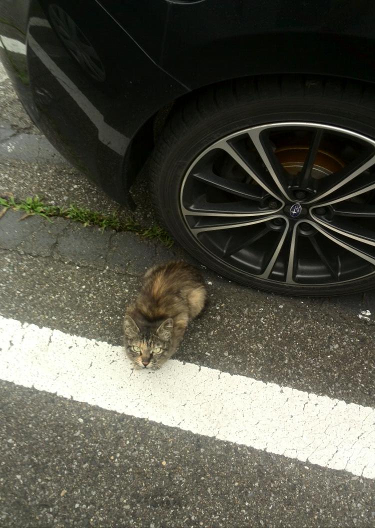 Follow あつき S 2uam922ezcskgup Latest Tweets Twitter