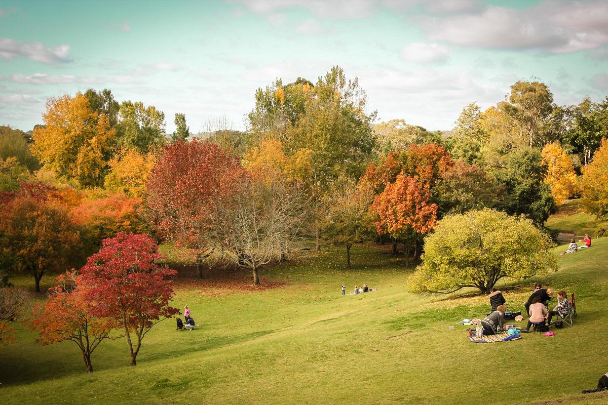 BotGardensSA's tweet photo. Great to see #MtLofty Botanic Garden feature on @qantas' new @qftravelinsider blog! http://t.co/RVjoGdn2Db #AdelHills http://t.co/PUHJhG7JQh