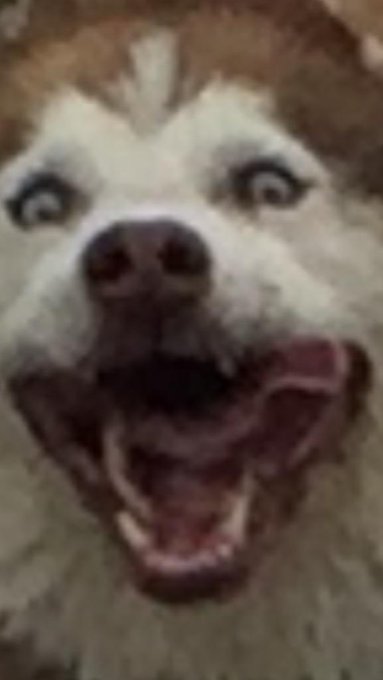 Yer face when u see me come online http://t.co/ZhSwf5WI1X<a href="/tag/camgirl"class="tags"><span>#camgirl</span></a><a href="/tag/manyvids"class="tags"><span>#manyvids</span></a>