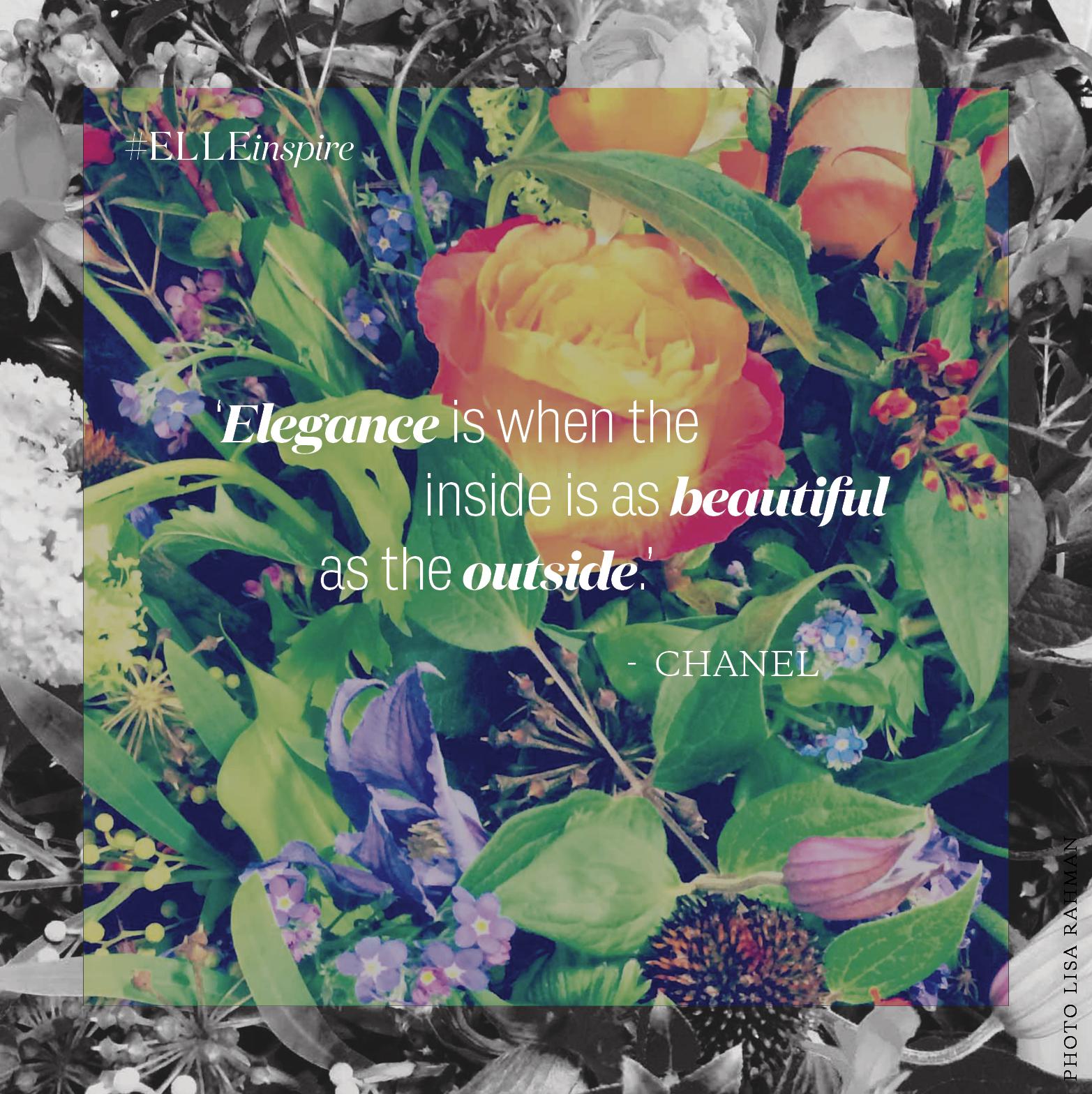 Chanel Quote Elegance is When the Inside is as Beautiful as 