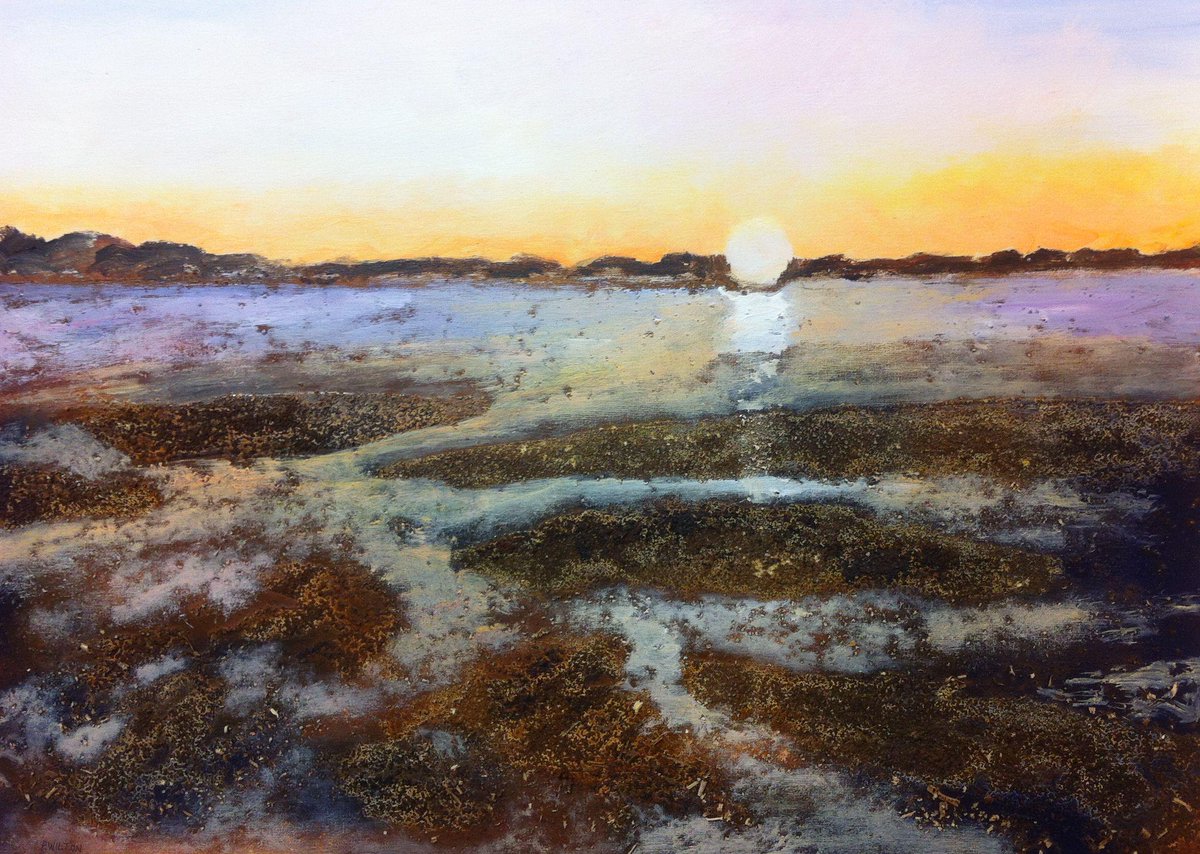 info02097480's tweet photo. @TheSeafood Good to see that Rick Stein is coming to Sandbanks, lovely food and inspiring place for my paintings. http://t.co/KPy15NEmy5