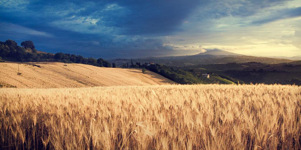 PicenoExpress's tweet photo. The #Piceno just before a storm last week. #italy http://t.co/TRth6Tehqy