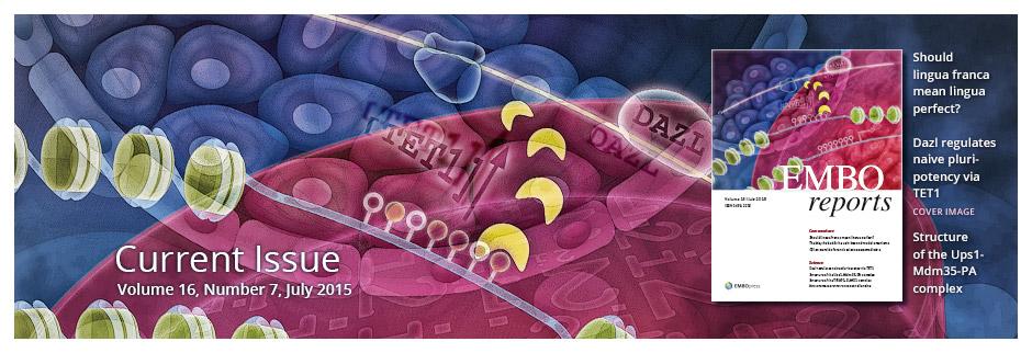 emboreports's tweet image. July Issue: #StemCells #Development #StructuralBio #Neuroscience, CSI on steroids and more! bit.ly/1FTORBU