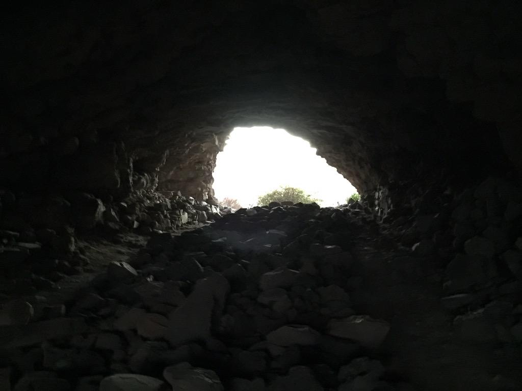 Pitán Pekita tweet media