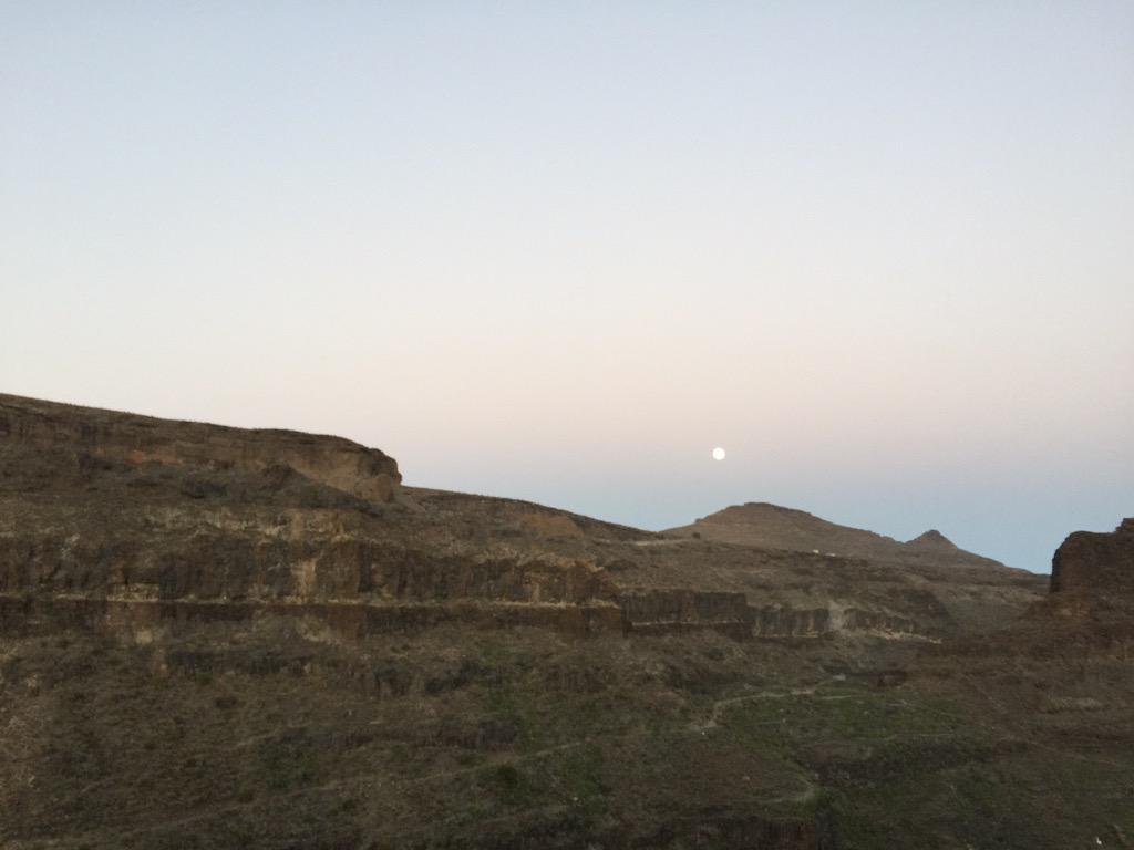 Pitán Pekita tweet media