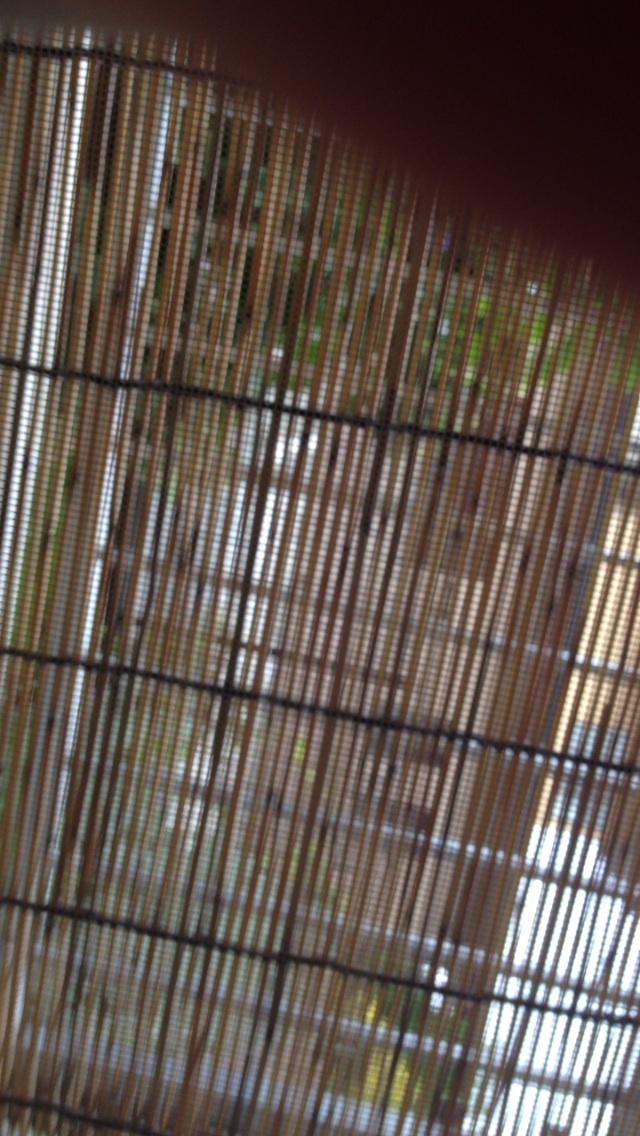 YoYoupei's tweet photo. #AREnergyBall http://t.co/TWoPbUNCKw