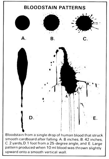 tetrasoc's tweet image. 