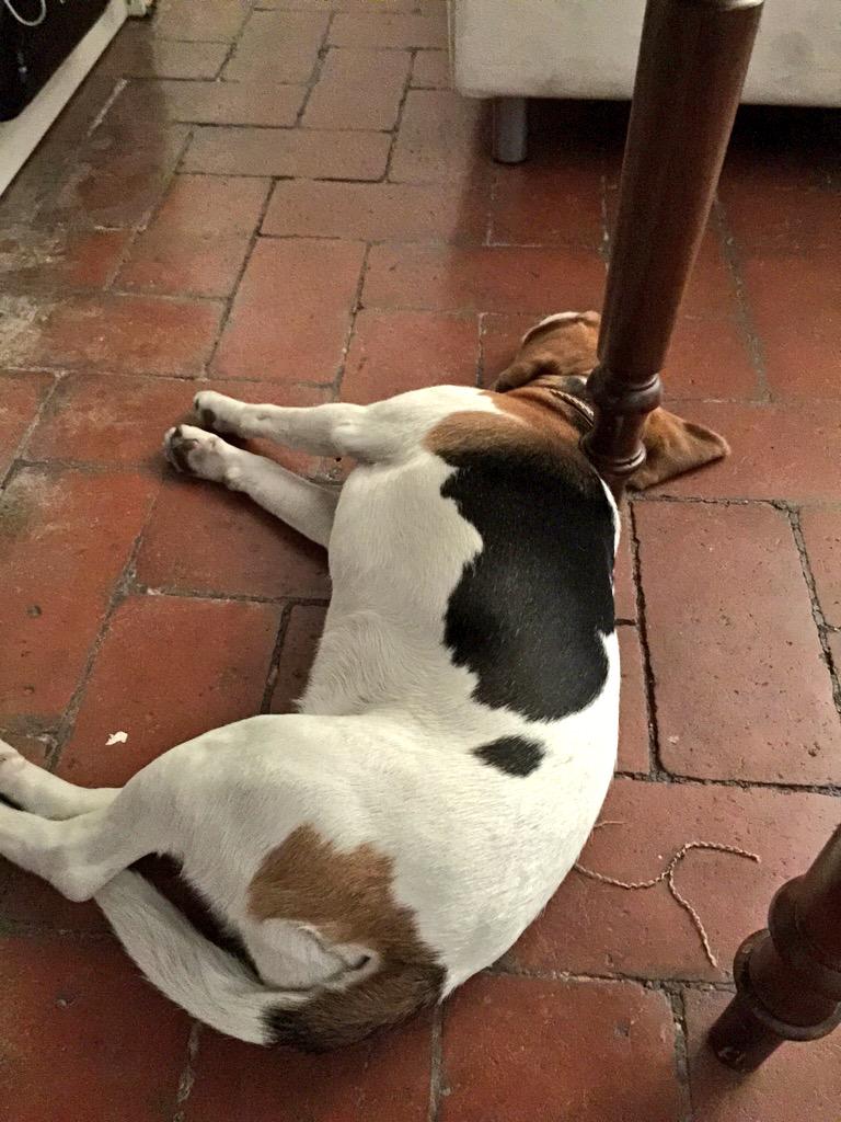 girlinflorence's tweet photo. The other Ginger is right here #coldfloors @numero182pescia http://t.co/9tpn9wSd2U