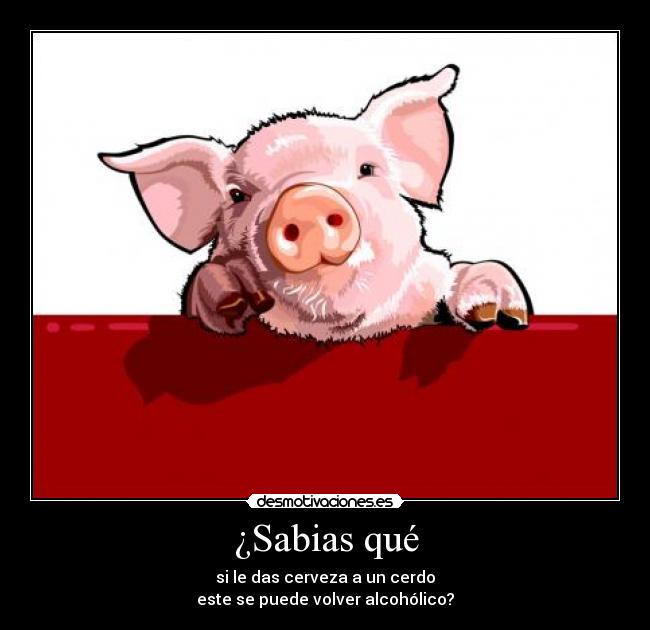 temocqui's tweet photo. https://t.co/gSpZPnISSV