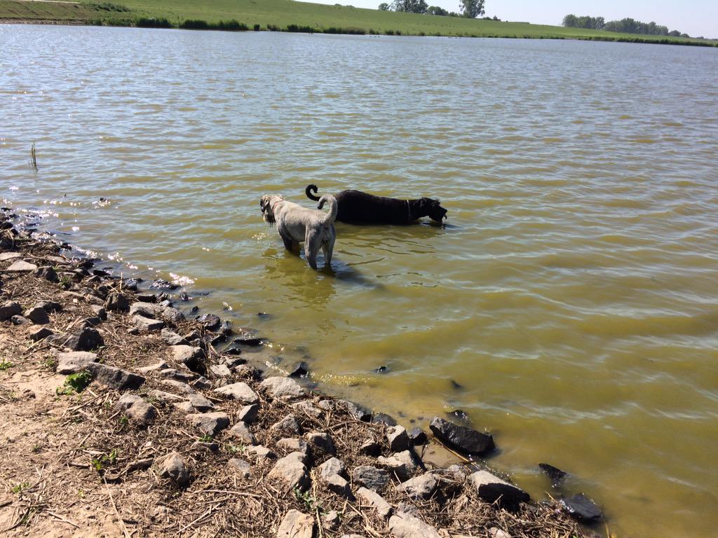Ohne Abkühlung geht nicht 😄👍