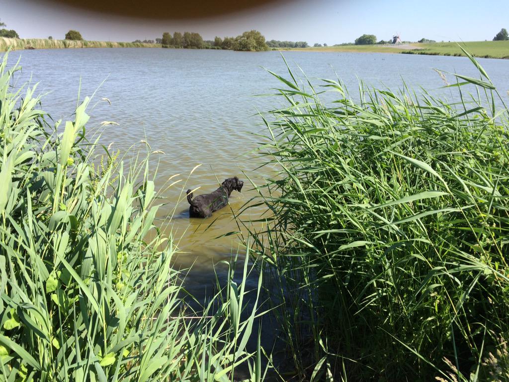 Jörg Schlüter (@js_jrg) on Twitter photo 