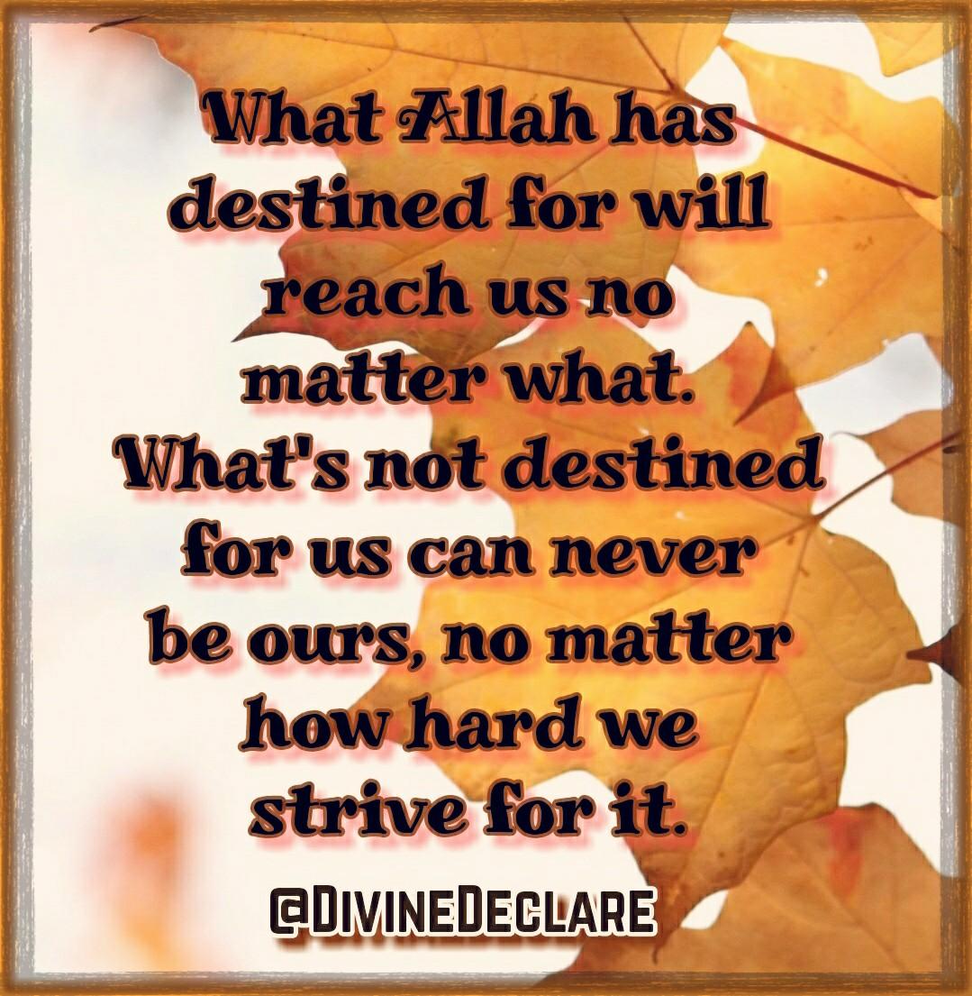 As we move closer to Allah, we'll find the strength to trust Him and our faith will grow even stronger.
