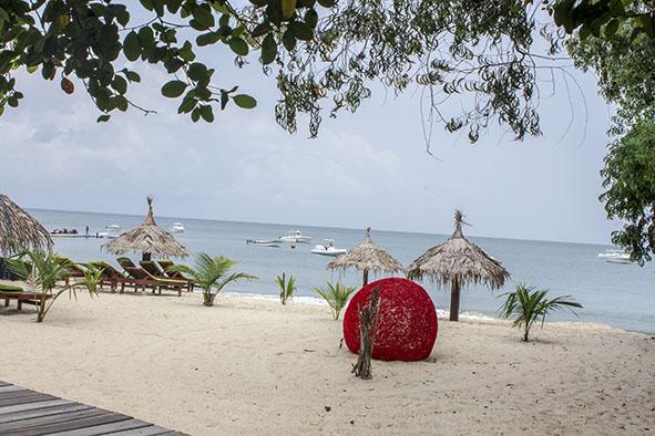 La Pointe Denis tweet media