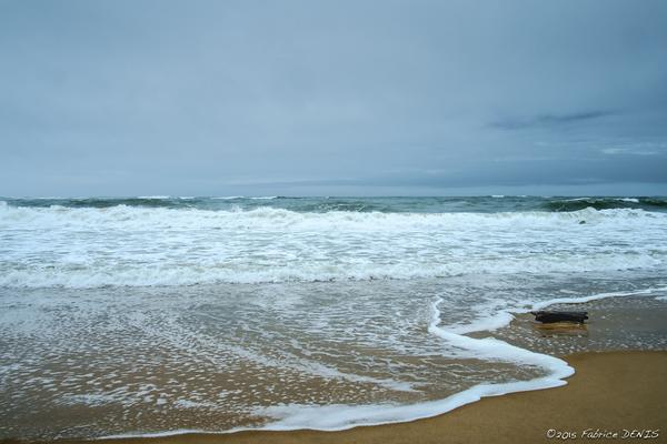 La Pointe Denis tweet media