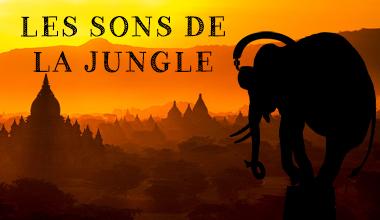 La #playlist <a href="/the_wouters/">Wouters</a> pour finir la semaine en beauté
Merci le Belge ow.ly/P4P4Q