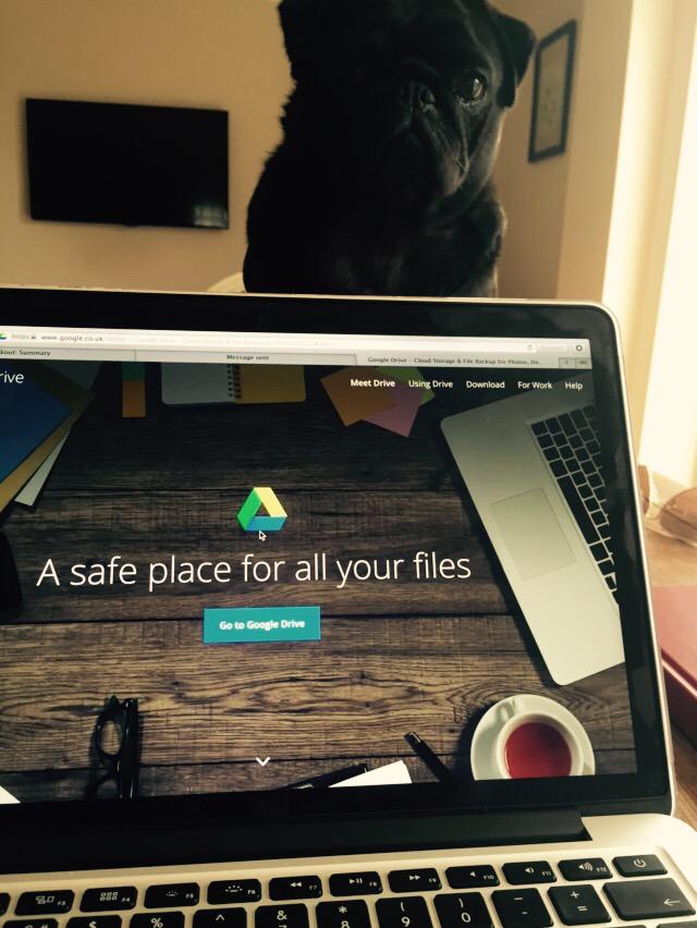 When you're trying to work but can't shake the feeling someone is watching you...