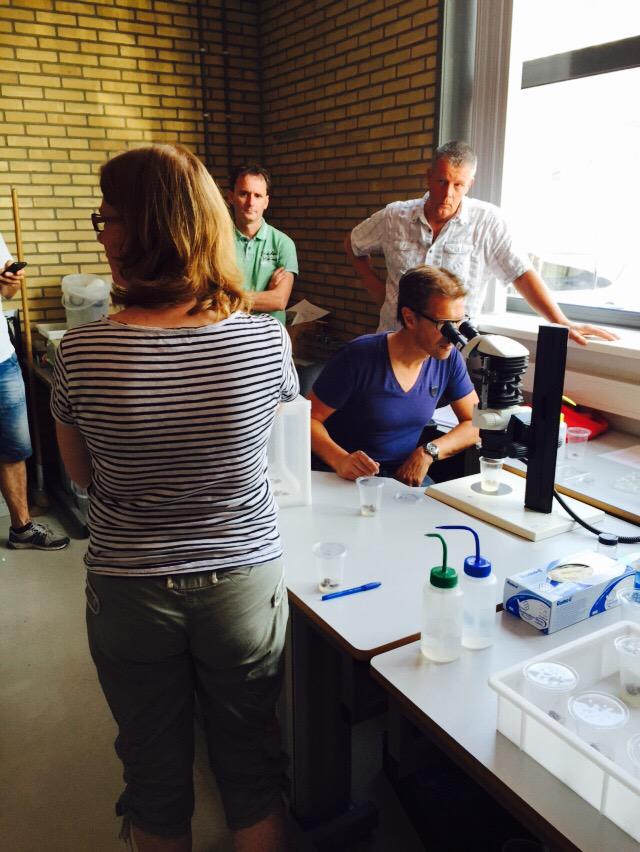 Potworm onderzoek bij WUR Bleiswijk in volle gang. Gewascoöperatie Potorchidee bekijkt de tussentijdse resultaten.