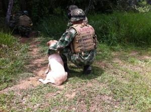 MiRegionMeta's tweet photo. [#llanoadentro] @COL_EJERCITO desactivó artefacto explosivo cerca a escuela en Uribe, Meta→ http://t.co/StUUp5jmw2 http://t.co/n3PpF5jEIT