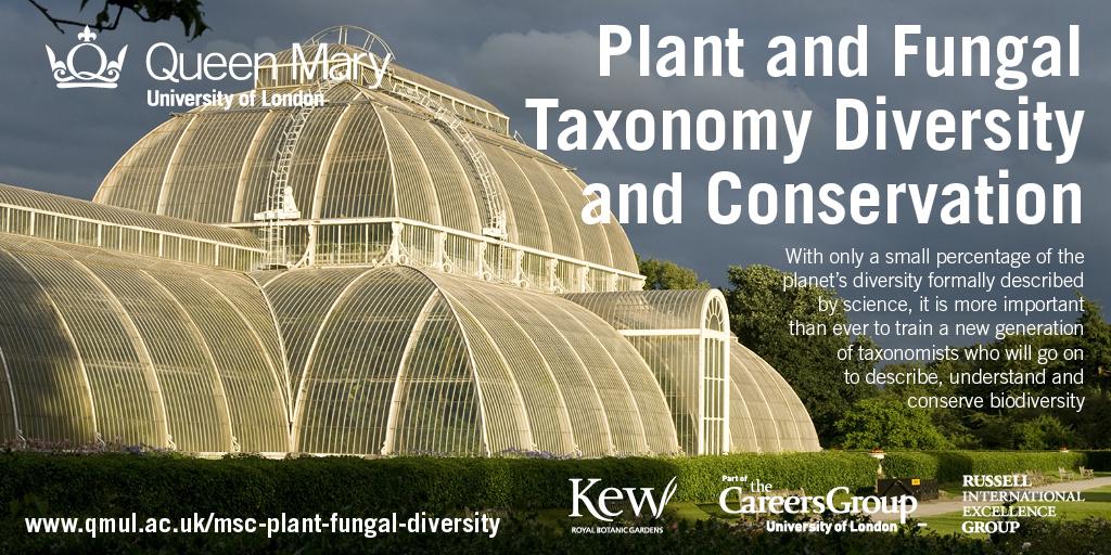 RJABuggs's tweet photo. Heads up for our new @kewgardens @QMUL #MSc in #Plant &amp; #Fungal #Diversity  @GP_SummerSchool #GPSSS15 #PlantSci http://t.co/4EFbOxPkXt