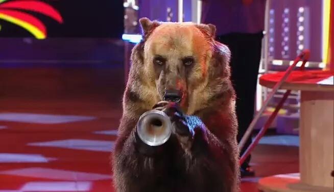 Queremos que desaparezcan los circos y ahora, los "traemos" a casa...¡¡ Penoso !! <a href="/Juliaenlaonda/">Julia en la Onda</a>