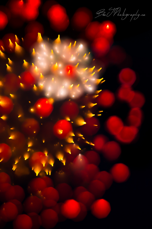 Ben J Photography tweet media