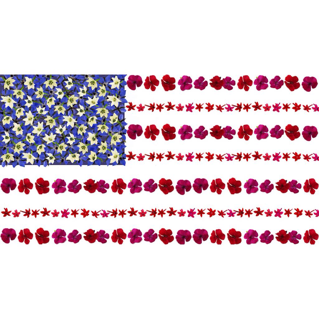 microgreens's tweet photo. #FreshOrigins #MicroGreens #4thofJuly #edibleflowers https://t.co/jNOgz7BNsU http://t.co/bVgU8yF55I