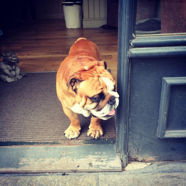 weareernest's tweet photo. @DBNewcastle1969 The only place to get your hair cut in the Toon plus you get to see Rodders .. http://t.co/nunpf7svjr