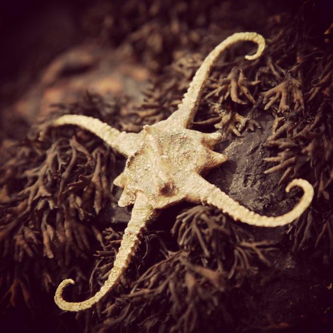 #Rewilding the imagination: a test piece from @makersusingtech residency