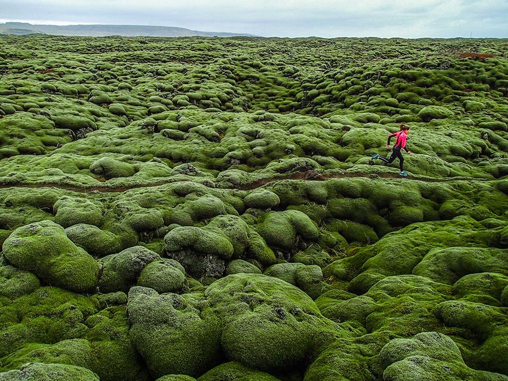 KeepSnapper's tweet image. Freedom.
#nature #Iceland #learningtobeaphotographer