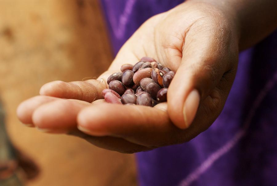 WFP's tweet image. #Fact: Zinc deficiency results in 800,000 child deaths per year wfp.org/hunger/faqs #nutrition