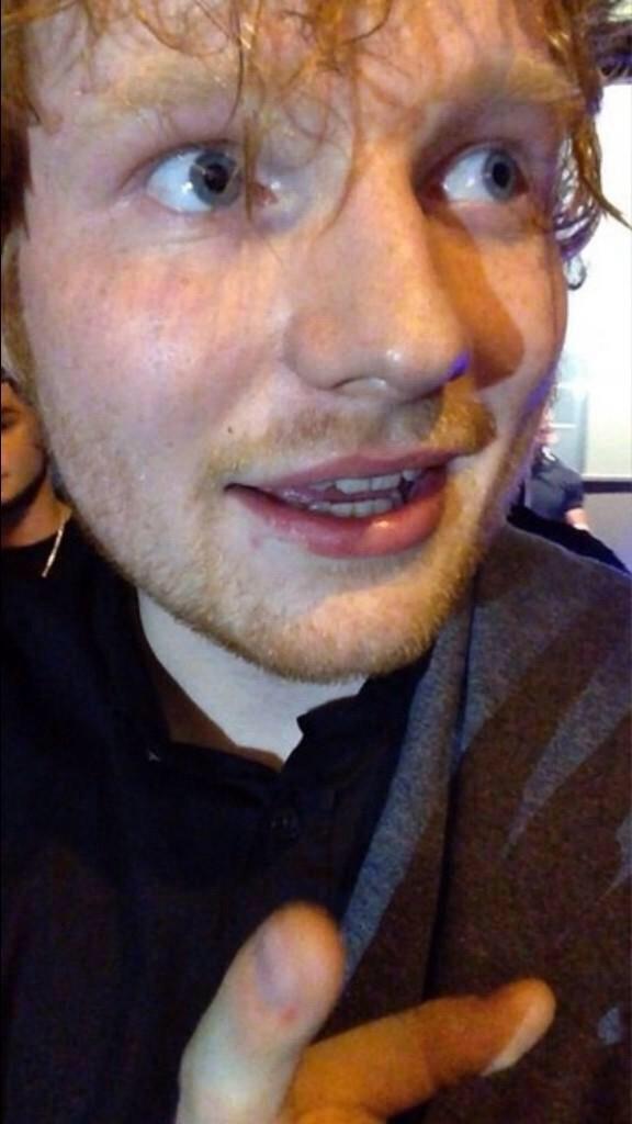 picsheeran tweet picture