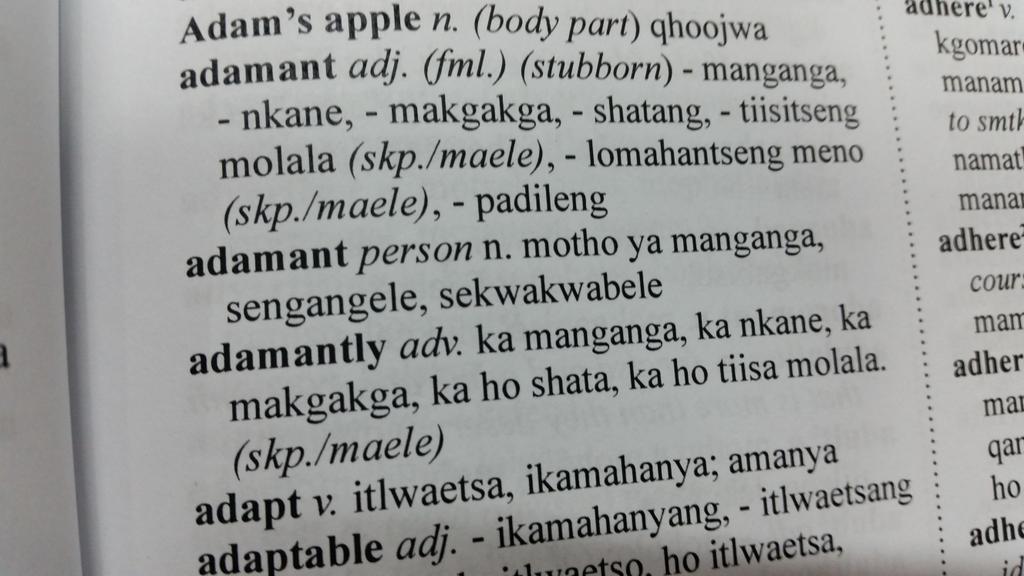 ShoeshoeQhu's tweet photo. I found a #Sesotho Dictionary at the #EduWeek15... Linguists and scholars need to work on growing our vocabulary http://t.co/QJQe5rLcj6