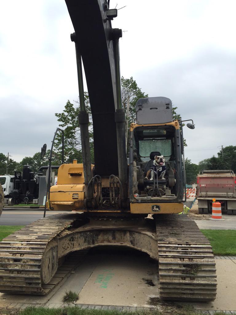 With all the construction on campus this summer, I've been inspired to jump in and get my paws dirty. #Butler2020