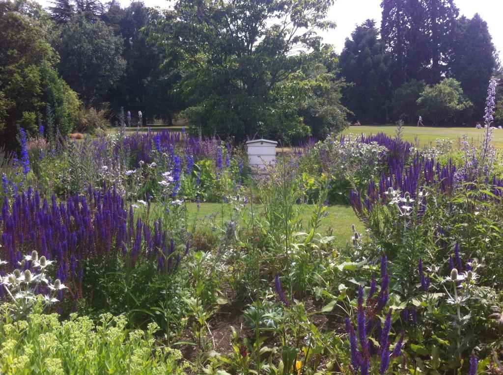 UCMShopCam's tweet photo. The Botanic Garden, looking gorgeous as ever #Cambridge http://t.co/lTHb9gSfpV