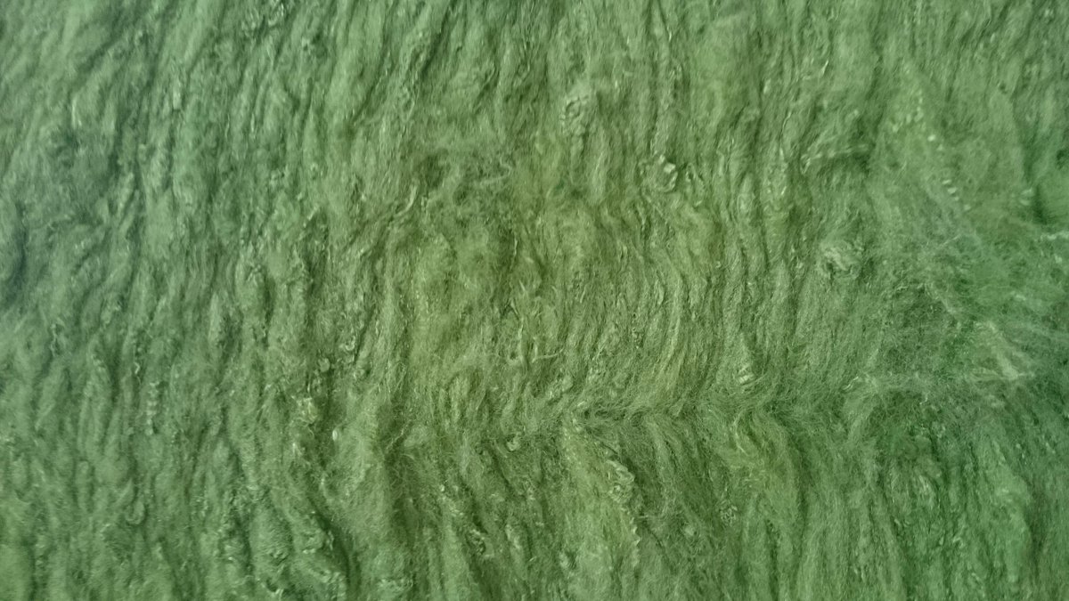 #sfumaturedicolore  #Montecolino #fibre
<a href="/Montecolino/">Montecolino</a>