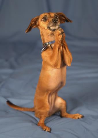 EPEC is only $13,000 away! We need a little #girlpower indiegogo.com/projects/unlea…