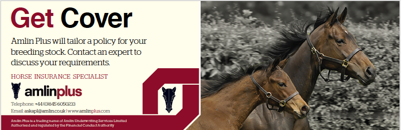 BloodstockMedia's tweet photo. In today's @bloodstocknews Amlin Plus advert design by @BloodstockMedia http://t.co/zEkiWId5le