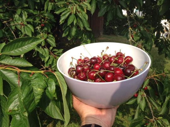 Ca vous dit, une petite cerise ?