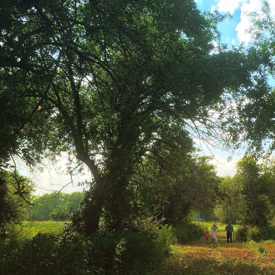 VeraFarmiga's tweet photo. Vera Ann of Green Gables. http://t.co/HKjgbypWaC