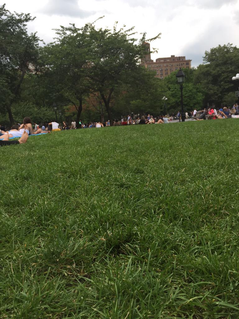 sarahkaneissexy's tweet photo. Parks are good looking #amateurphotography #imfeelinit #iwanticecream http://t.co/ELPCJ4N6zE