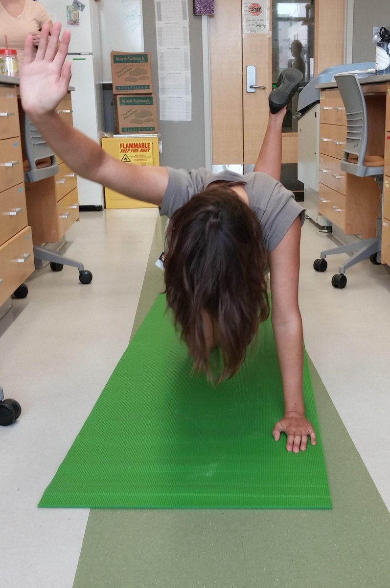 TheunPakProject's tweet image. CofC unPAK Arabidopsis Yoga Poses The Germinator, TCTC 9G3, Rosette, and Bolting #FunPAK #Arabidopsis