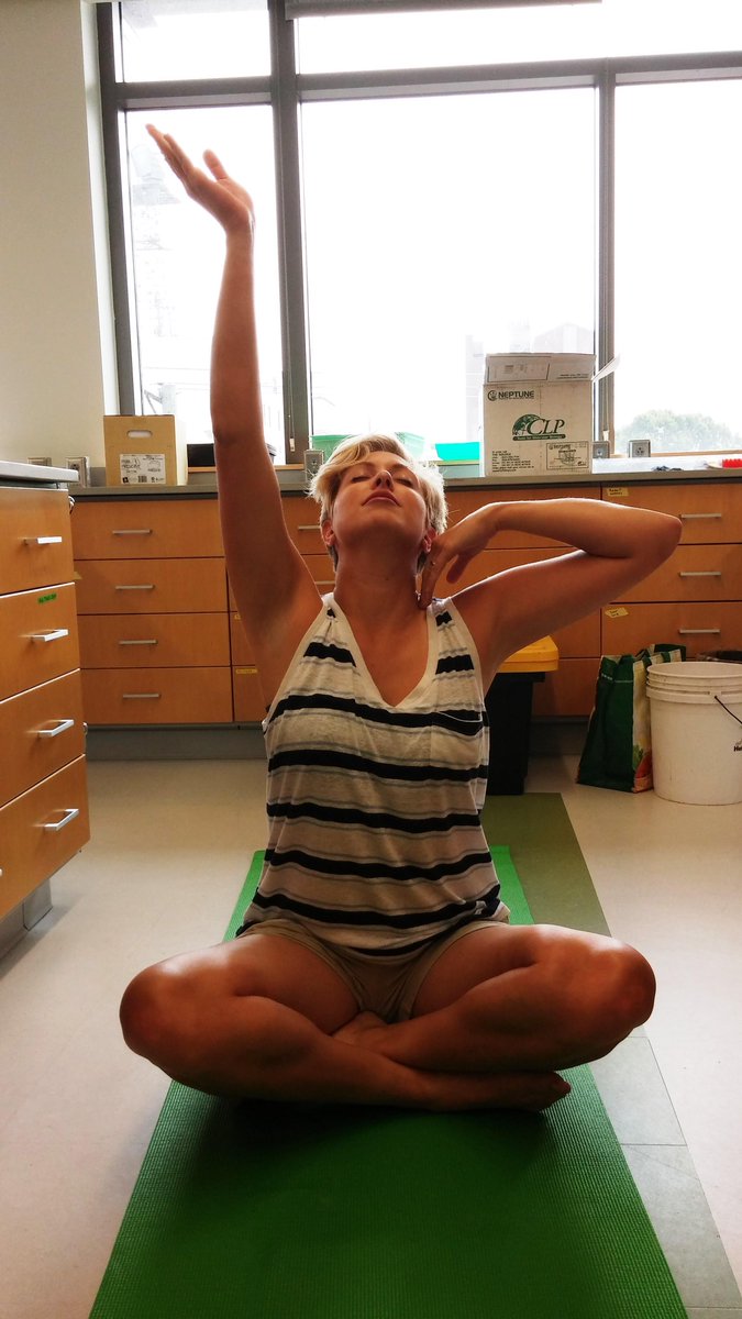 TheunPakProject's tweet image. CofC unPAK Arabidopsis Yoga Poses The Germinator, TCTC 9G3, Rosette, and Bolting #FunPAK #Arabidopsis