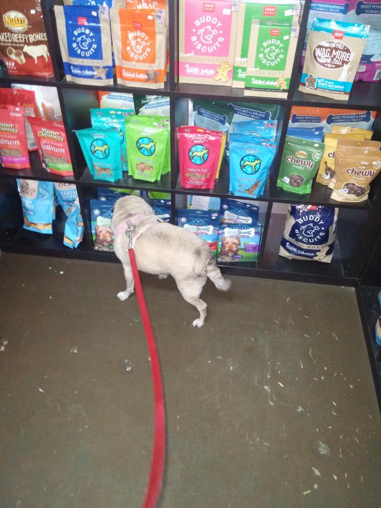 derobtsuj's tweet photo. Yummm treats I want them all @RocketCityDogs #puglife http://t.co/eM0xmzhNIi