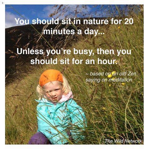 rigbyld's tweet photo. Happy Thought #161: "You should sit in nature for 20 minutes a day ..." :) http://t.co/b7qinSvE5C