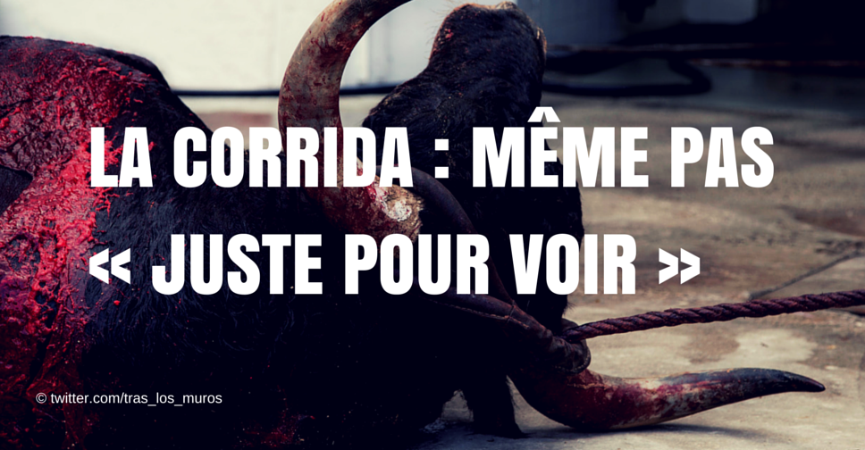 PETA_France's tweet photo. Partagez ce message : n’allez JAMAIS voir une corrida pour ne pas financer ce massacre.
http://t.co/kzxPbFLlro http://t.co/LifYw85WiG