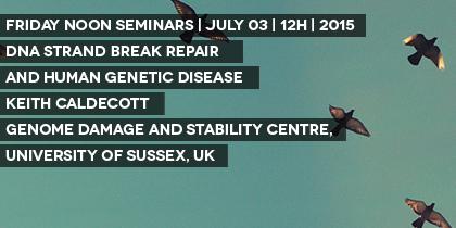IBMCINEB's tweet photo. TOMORROW | 12H | IBMC AUDITORIUM
Keith Caldecott, Genome Damage and Stability Centre, University of Sussex, UK http://t.co/m8RQ7AhVzp
