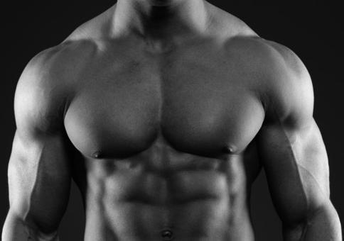 TorsoMuscles's tweet image. Hi Twitter #avatar #myfirstTweet #torso #muscle #muscles