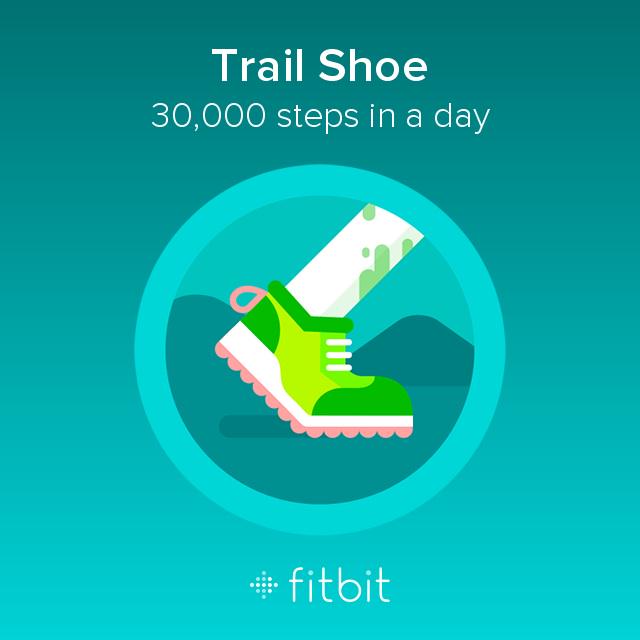 Loving my fitbit that I got for my birthday, a couple of 2.5 hour sessions today got my steps right up #Fitbit
