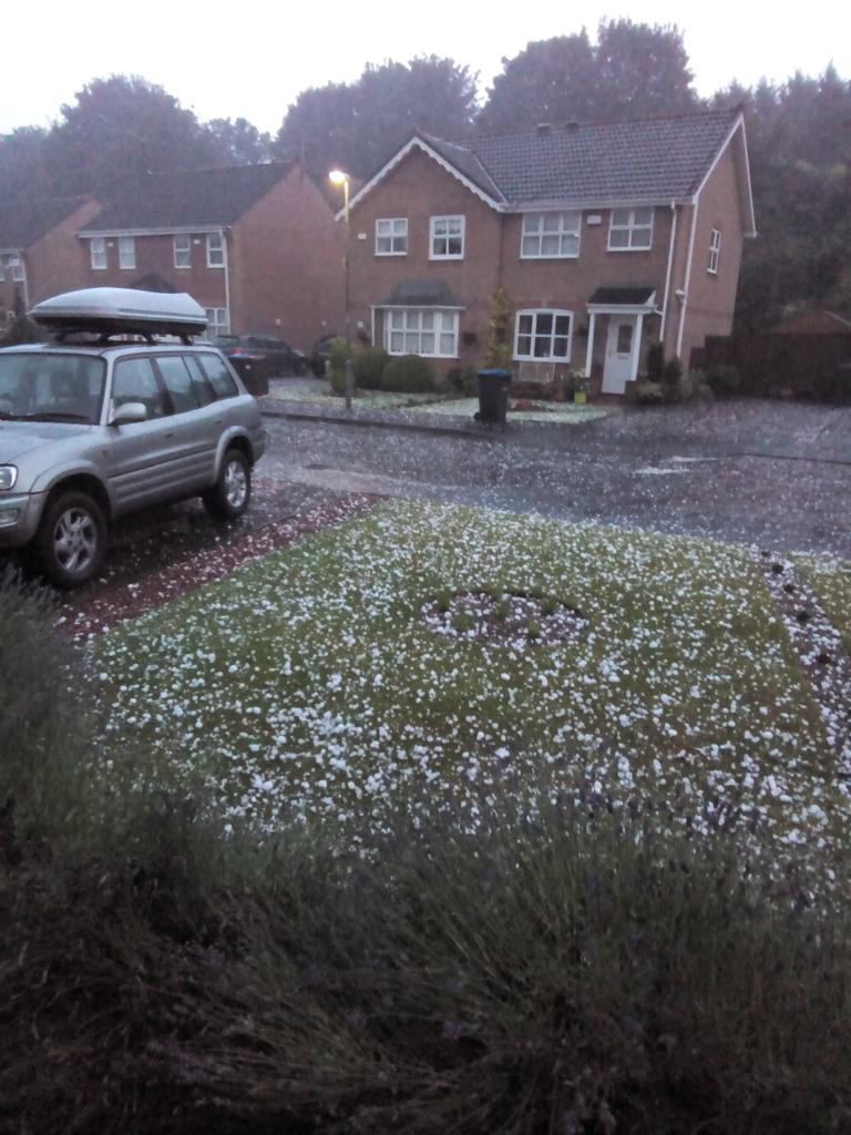 Hailstones on my lawn from last night's thunderstorm. So big that cars and van are covered in dents.